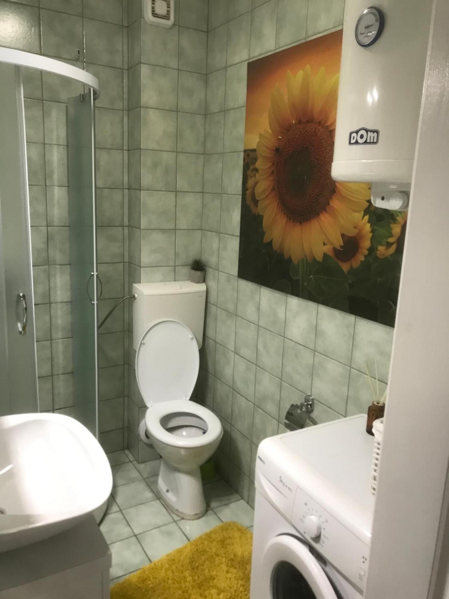 Apartman Kristina Free Parking נובי סאד מראה חיצוני תמונה